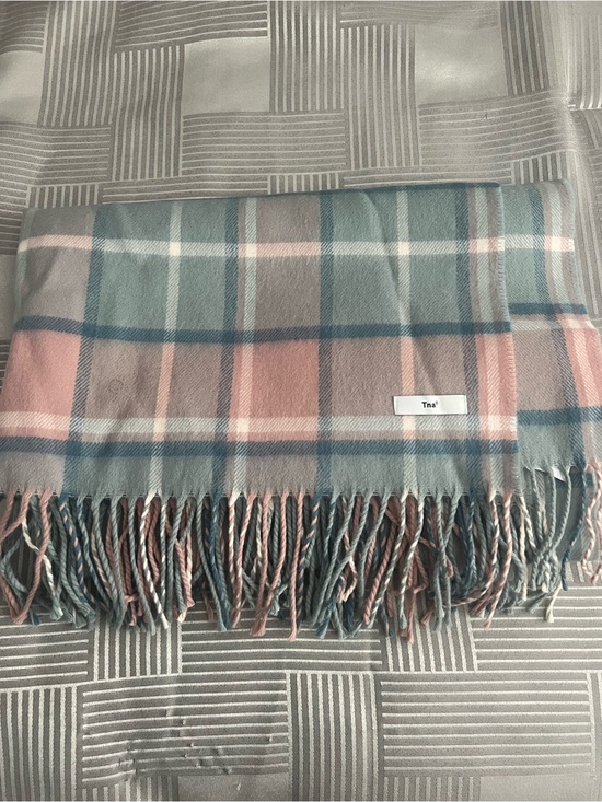 Aritzia Accessories - Aritzia TNA pink and blue Plaid Fringe Scarf